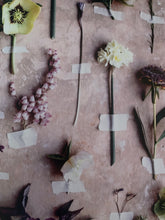 Load image into Gallery viewer, THE PLAIN CAKE APPRECIATION SOCIETY