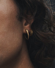 Load image into Gallery viewer, TEMPLE OF THE SUN: LOULON LION EARRINGS - GOLD VERMEIL