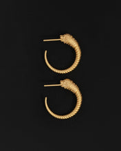 Load image into Gallery viewer, TEMPLE OF THE SUN: LOULON LION EARRINGS - GOLD VERMEIL