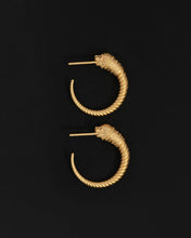 Load image into Gallery viewer, TEMPLE OF THE SUN: LOULON LION EARRINGS - GOLD VERMEIL