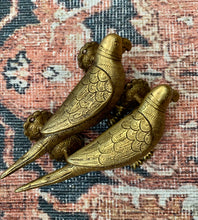 Load image into Gallery viewer, DOOR HANDLE: BRASS PARROT