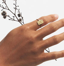 Load image into Gallery viewer, TEMPLE OF THE SUN: RUBY SEAL RING - GOLD VERMEIL