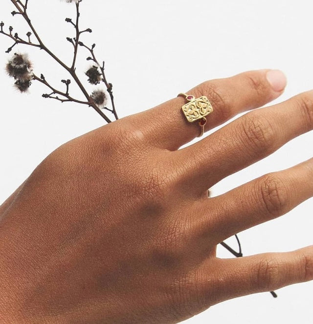 TEMPLE OF THE SUN: RUBY SEAL RING - GOLD VERMEIL – moss grotto
