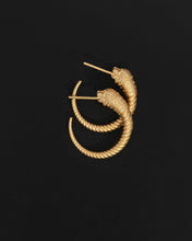 Load image into Gallery viewer, TEMPLE OF THE SUN: LOULON LION EARRINGS - GOLD VERMEIL
