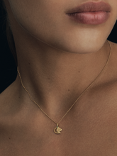 Load image into Gallery viewer, TEMPLE OF THE SUN: BABYLON SMALL LION NECKLACE - GOLD VERMEIL

