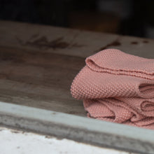 Load image into Gallery viewer, SALUS: COTTON WASH CLOTHS

