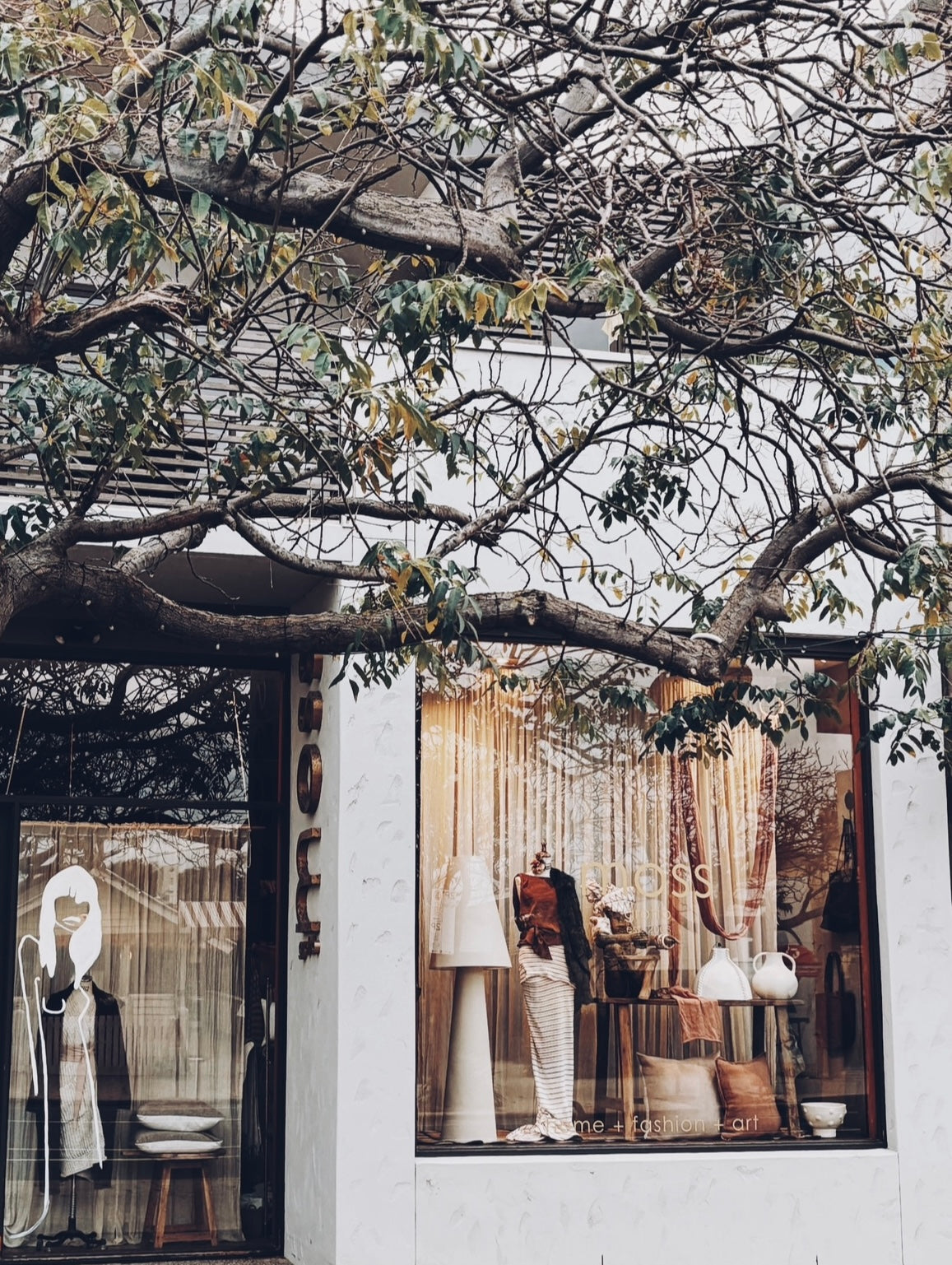 Moss Grotto storefront
