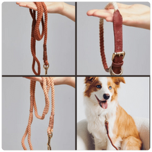 Load image into Gallery viewer, TOTO: DOG COLLAR
